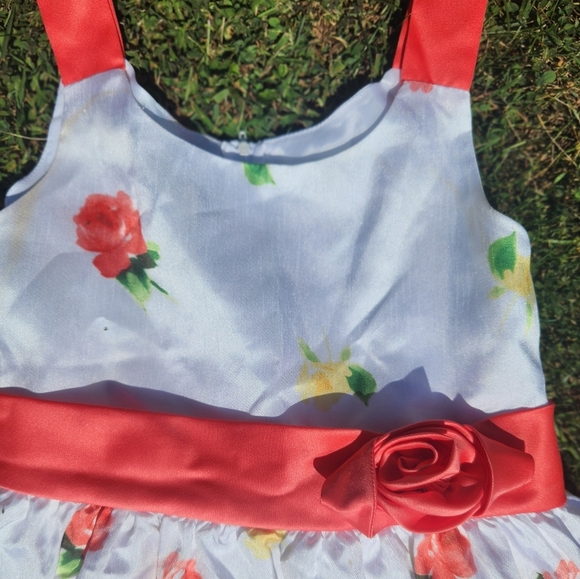 GIRLS, Big GIRLS SIZE 16 PARTY DRESS Garden PARTY DRESSEY Bonnie Jean - Picture 3 of 13